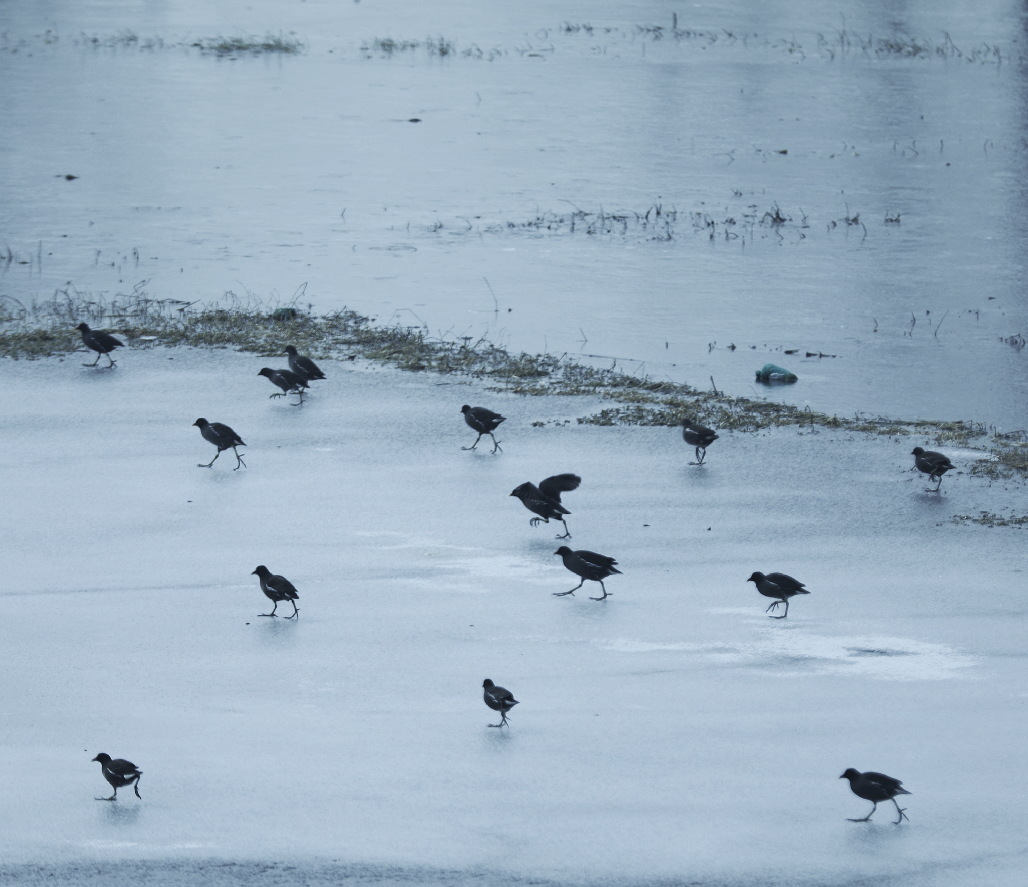 宿州市仙女湖,宿州天鹅湾湖