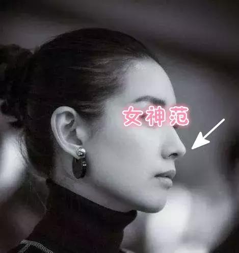 热巴赵丽颖合照,热巴与赵丽颖同框