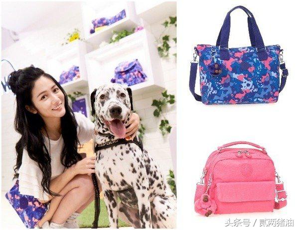 Gucci、LV、小CK狗年汪星人大集合!快把时尚汪们带回家