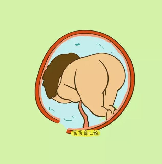 羊水意思,羊水为什么叫羊水它都有什么作用