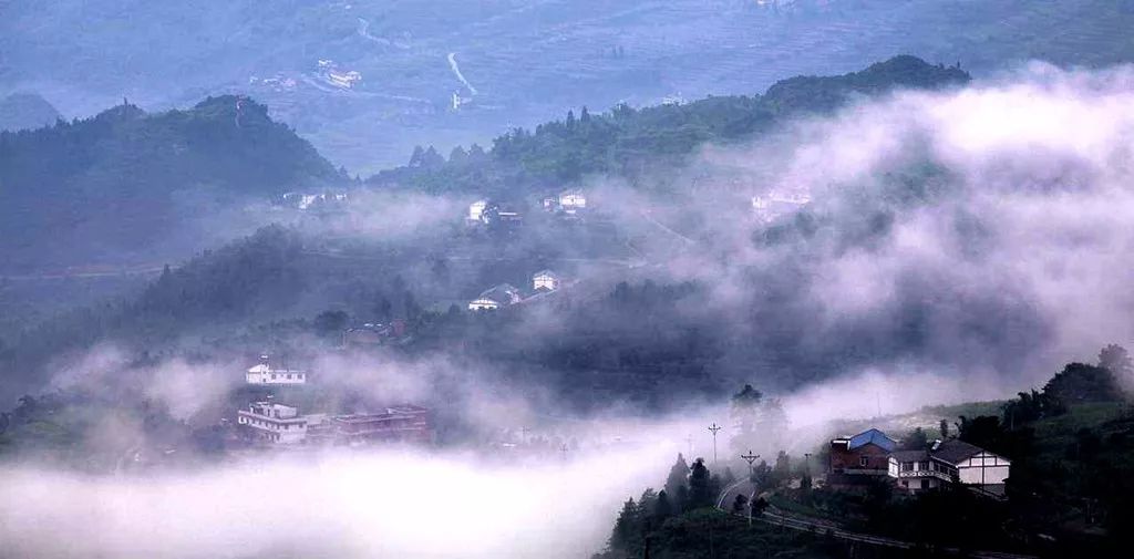 魅力蔡店,梦里家园