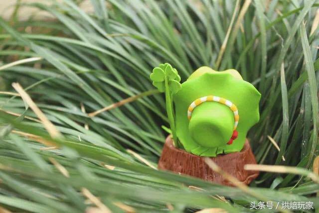 超萌的佛系蛙蛙你在家等蛙而我蛙在家等我