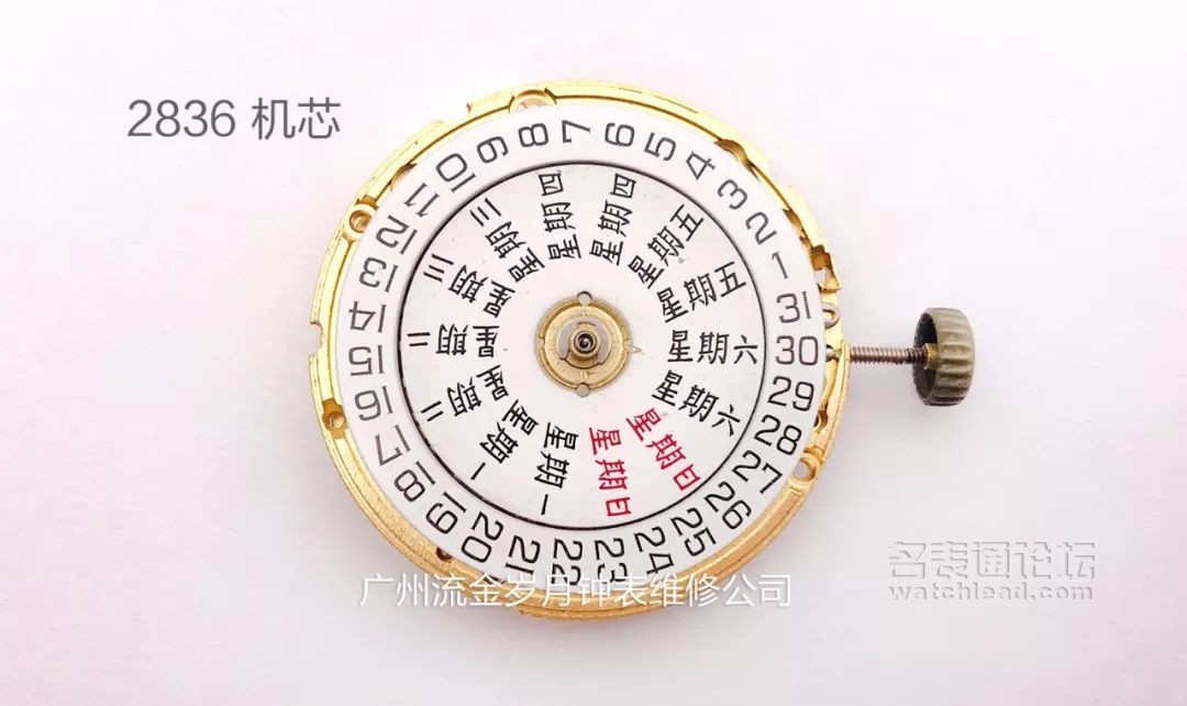 学会修表很简单:零基础也能学会2824、955、2834、2892机芯保养
