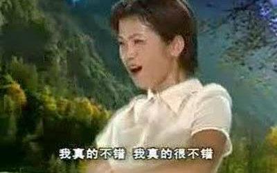 加拿大鹅在中国的现状,加拿大鹅为什么那么好吃