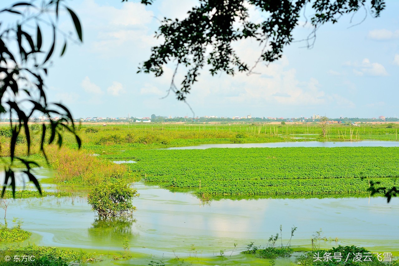 经典田园诗10首唯美中含有深意,最美的十首七绝田园诗