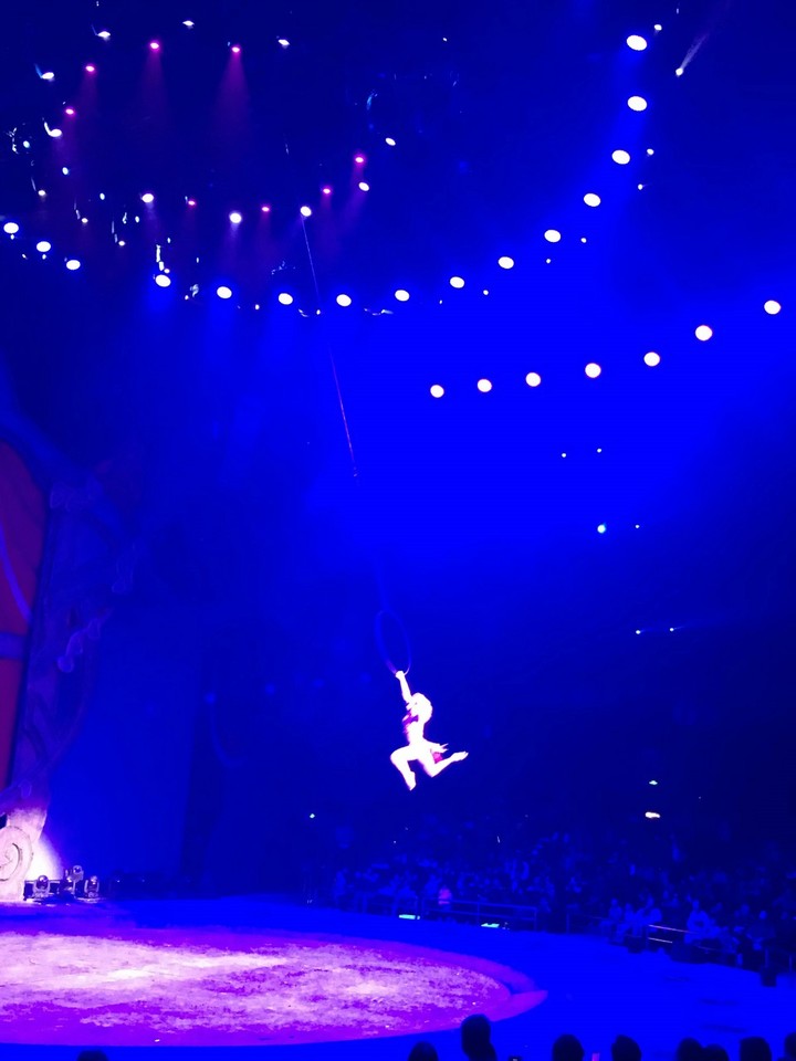 两天一晚珠海长隆旅游攻略,珠海长隆旅行一日游需要准备什么