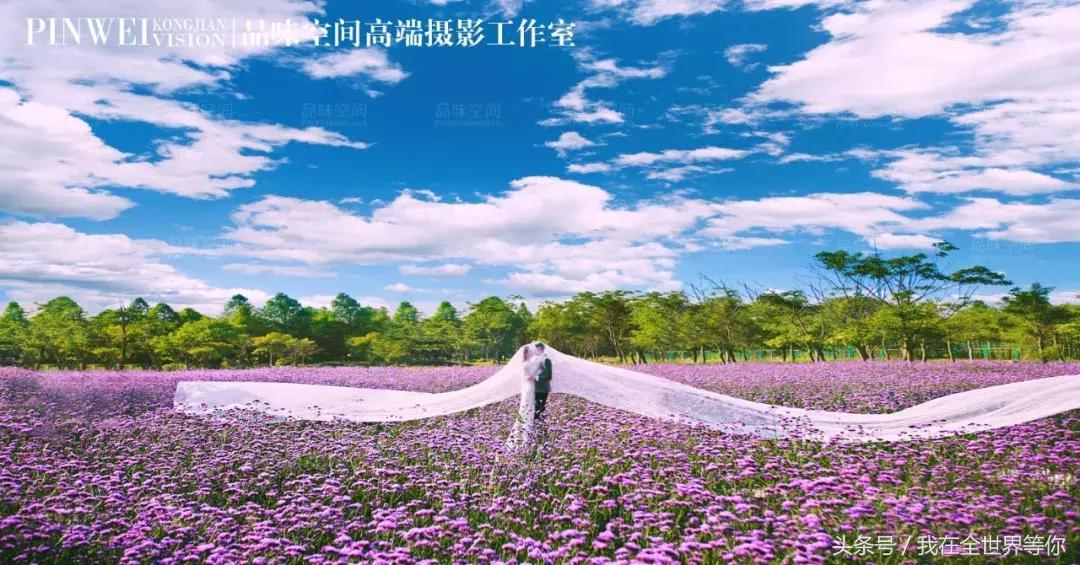 怀孕拍婚纱照注意事项,怀孕拍婚纱照需要准备哪些用品