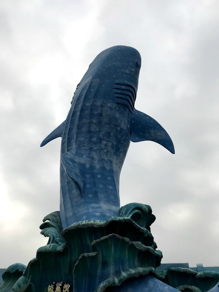 两天一晚珠海长隆旅游攻略,珠海长隆旅行一日游需要准备什么