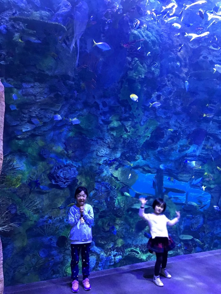 两天一晚珠海长隆旅游攻略,珠海长隆旅行一日游需要准备什么