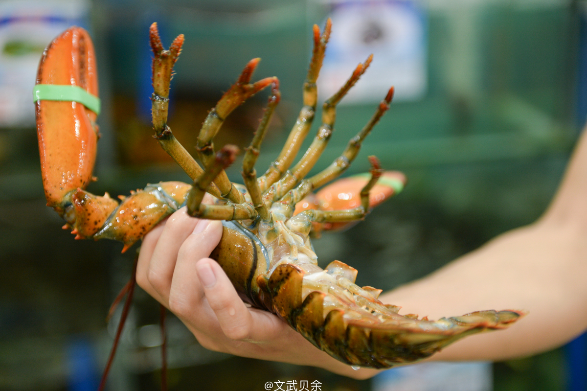 三亚海棠湾吃货攻略,三亚美食攻略最详细