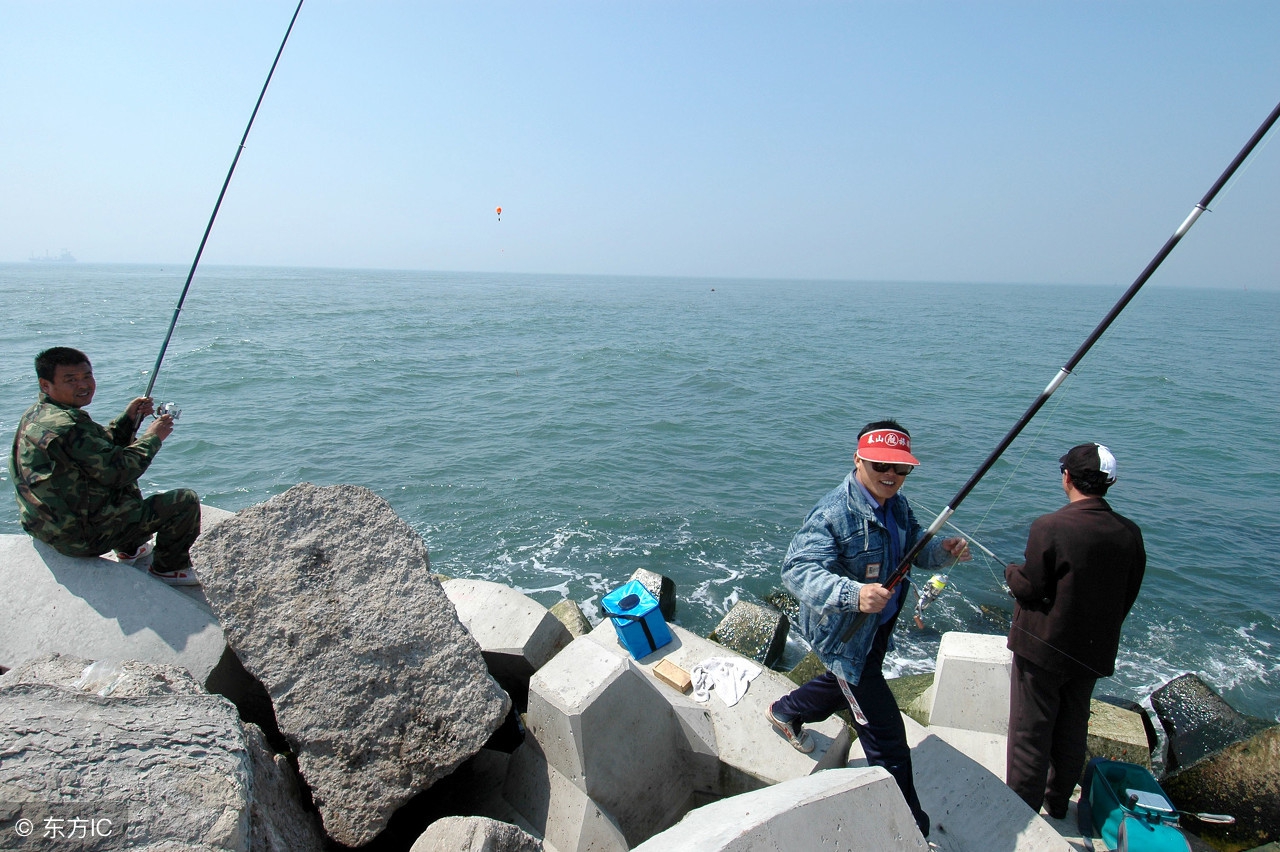 钓鱼随笔,钓鱼启示读后感500字作文