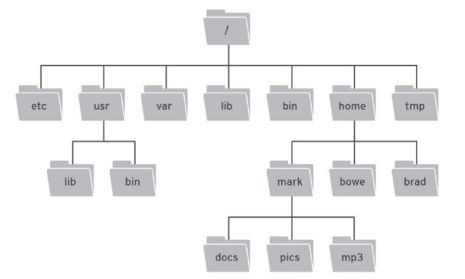 linux文件系统与目录系统,linux目录及文件基本操作