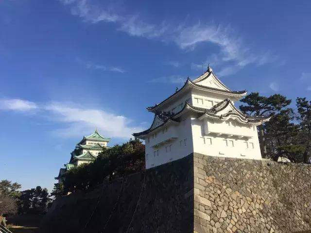 蛙不着家!空巢老母亲就将它去的地方、买的珍品统统扒了一遍!