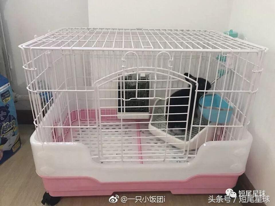 哪种兔笼比较好,兔笼有几种款式