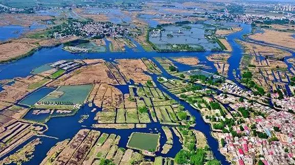 托梅姨访华的福，留学生回国终于不用代购了