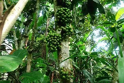 2019年巴厘岛之行,最近巴厘岛旅游价格