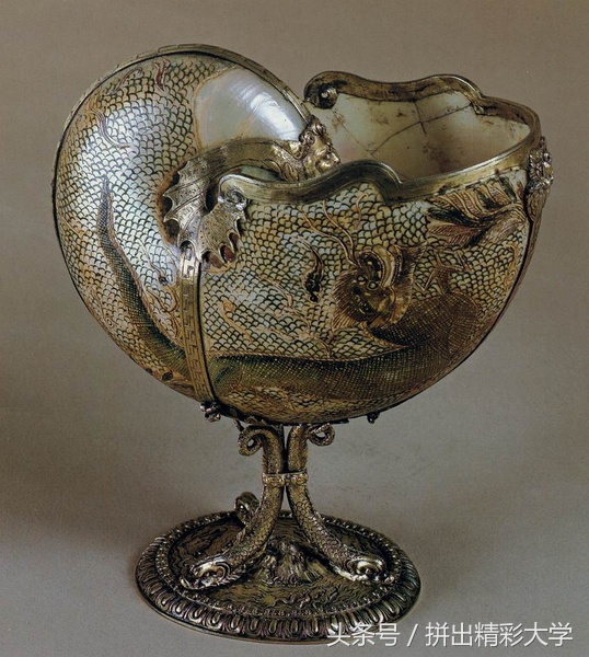 漂亮的贝壳的饰品,贝壳美丽饰品