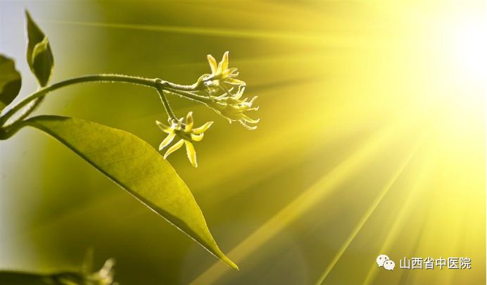 减肥为啥越减越肥,天天减肥越减越肥幽默句子