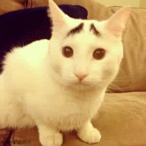 体考推荐武术鞋,脚感好的体考鞋推荐