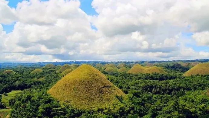 现在办理签证还来得及吗,现在办理签证