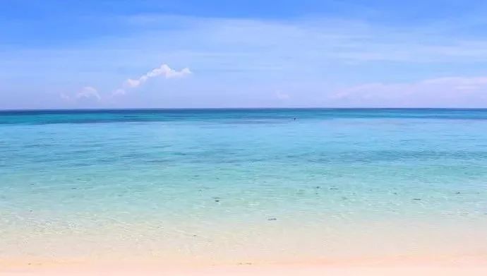 现在办理签证还来得及吗,现在办理签证