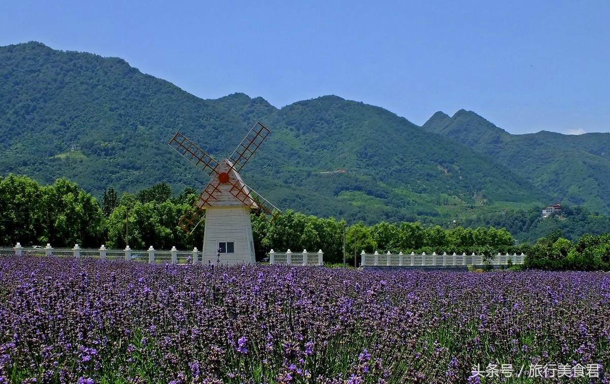 西安附近薰衣草庄园有哪些,西安周边薰衣草景区有哪些