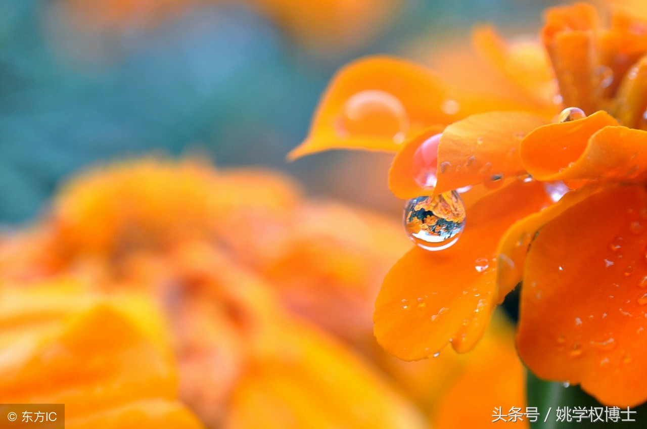 失肛之痛有多痛？告诉你活人怎样不被便便憋憋憋死