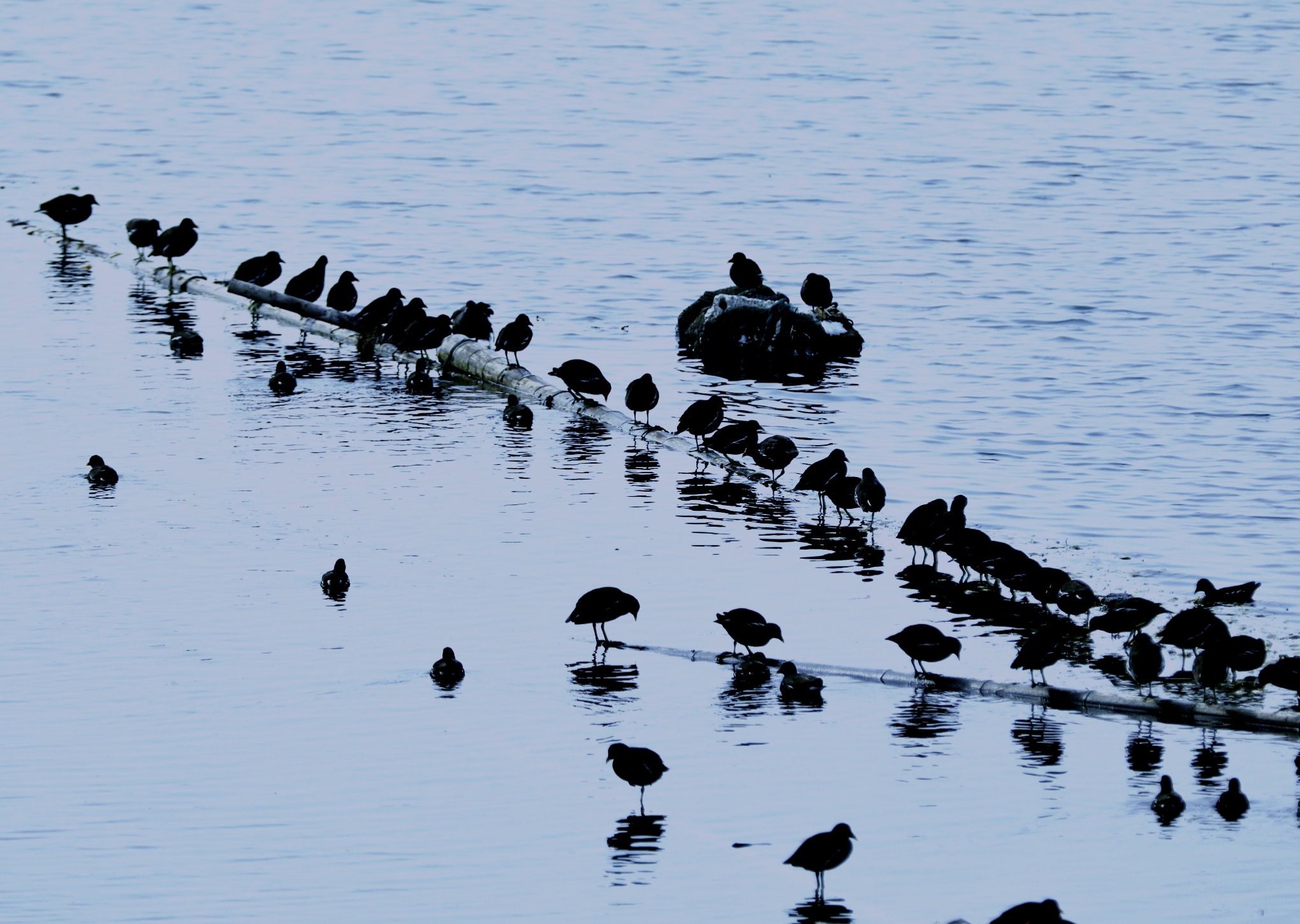 宿州市仙女湖,宿州天鹅湾湖