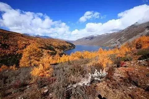 川西小众景点地图,自驾川西甘孜不能错过的小众秘境