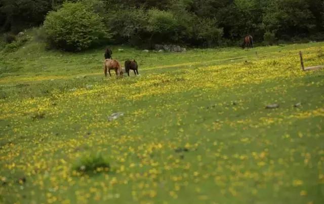 川西小众景点地图,自驾川西甘孜不能错过的小众秘境