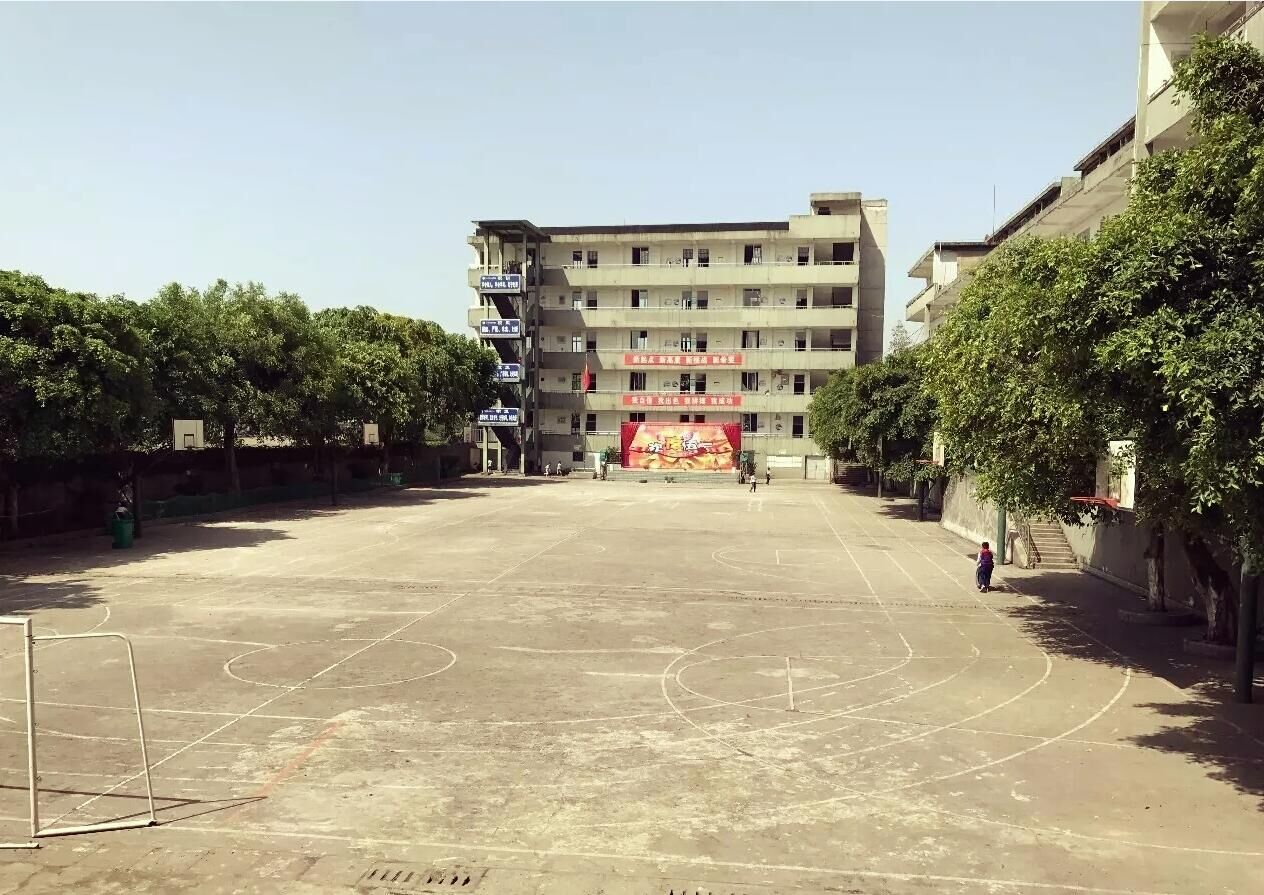 那些球事儿,那些年篮球视频