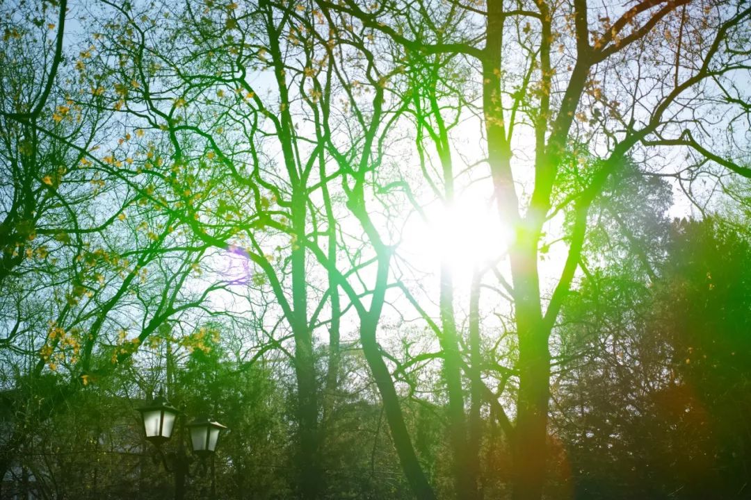 适马dp2q适合什么样的人,sigma适马dp2x测评