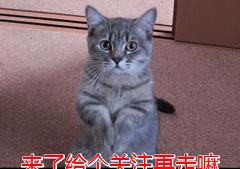 十二星座吃鸡专属武器皮肤,十二星座玩吃鸡谁最强