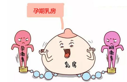 孕妇哺乳文胸选择,哺乳内衣小胸聚拢新款高档文胸