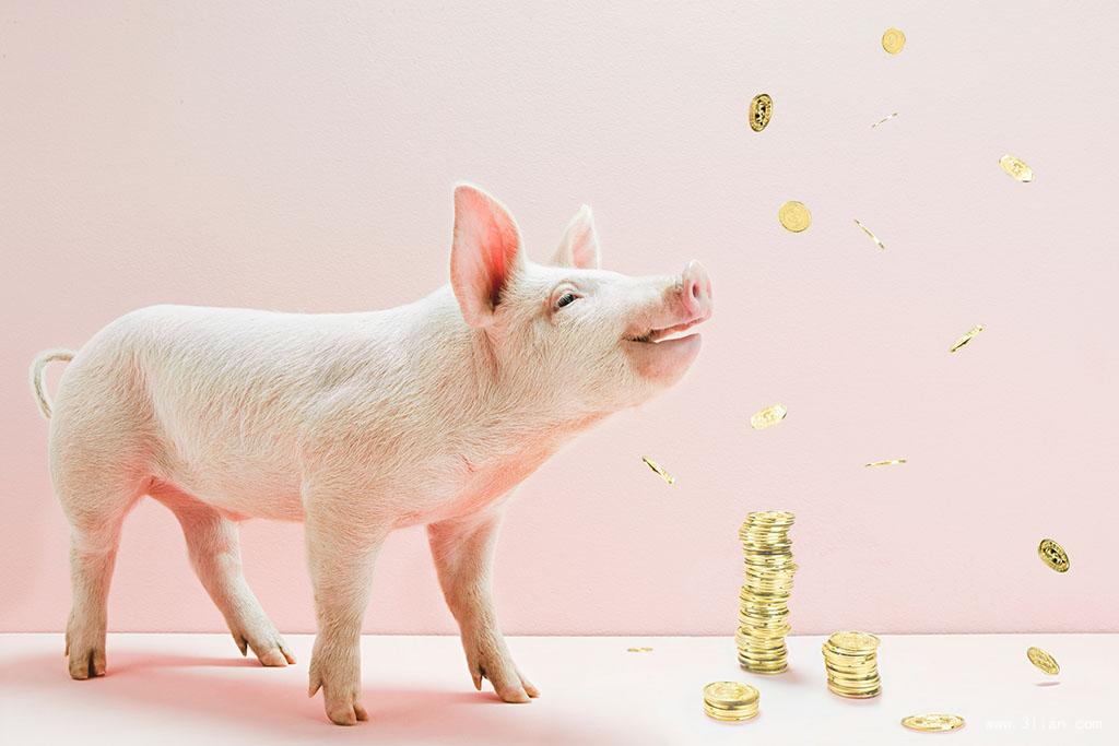 猪蹄裂痛的最佳治疗方案,福尔马林可以治猪蹄裂吗