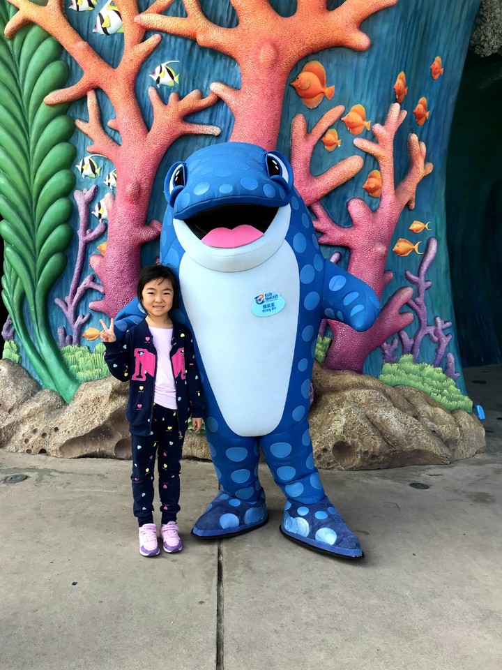 两天一晚珠海长隆旅游攻略,珠海长隆旅行一日游需要准备什么