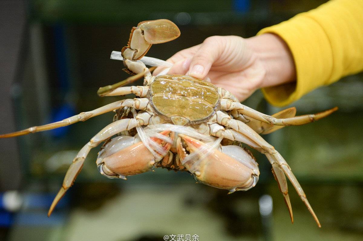 三亚海棠湾吃货攻略,三亚美食攻略最详细