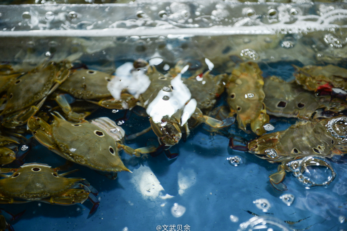 三亚海棠湾吃货攻略,三亚美食攻略最详细