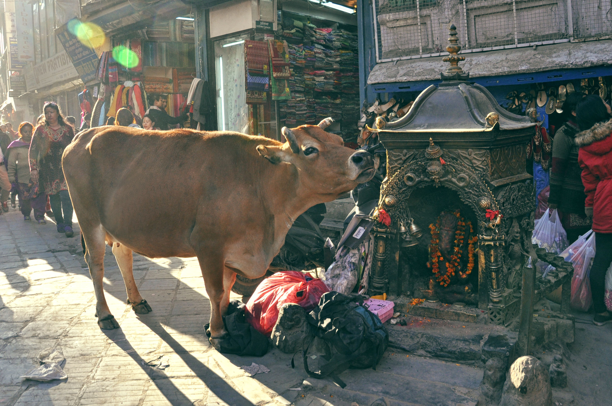 尼泊尔行者完整版,尼泊尔旅游拍照攻略