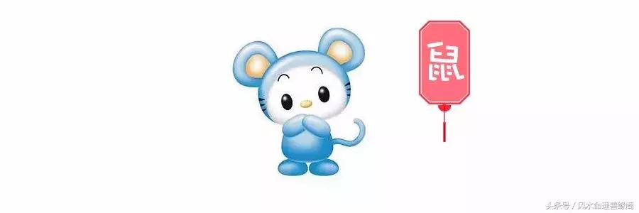 生肖与八字2022年运势及运程,从八字看十二生肖婚姻运势