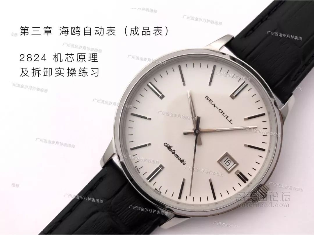 学会修表很简单:零基础也能学会2824、955、2834、2892机芯保养