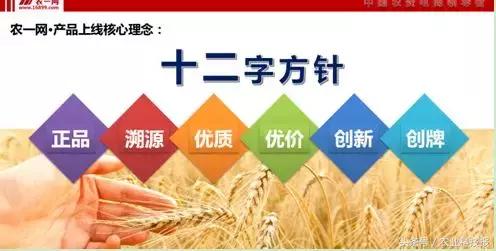 农资电商怎么搞,农资电商怎样经营好业务
