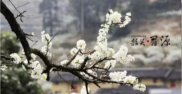 国内风景最好的旅游景点冬天,国内各地最美的十大自驾游线路