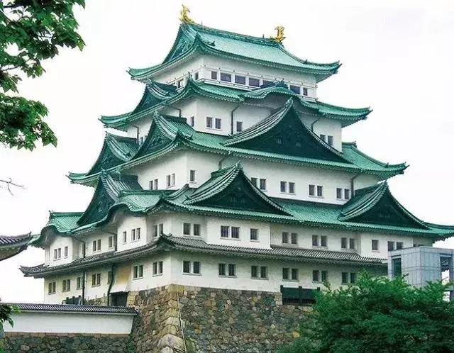 蛙不着家!空巢老母亲就将它去的地方、买的珍品统统扒了一遍!