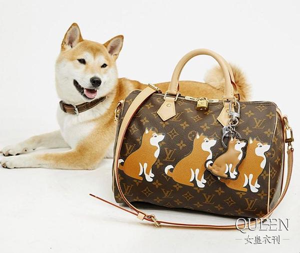 叮叮，这有一份你的狗年快递，大牌们为了中国的汪年也是费尽心思