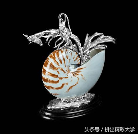 漂亮的贝壳的饰品,贝壳美丽饰品