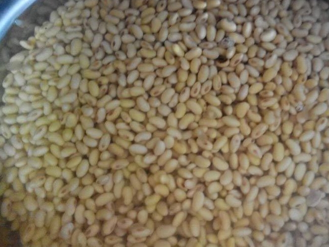 怀念故乡过年磨豆腐的日子