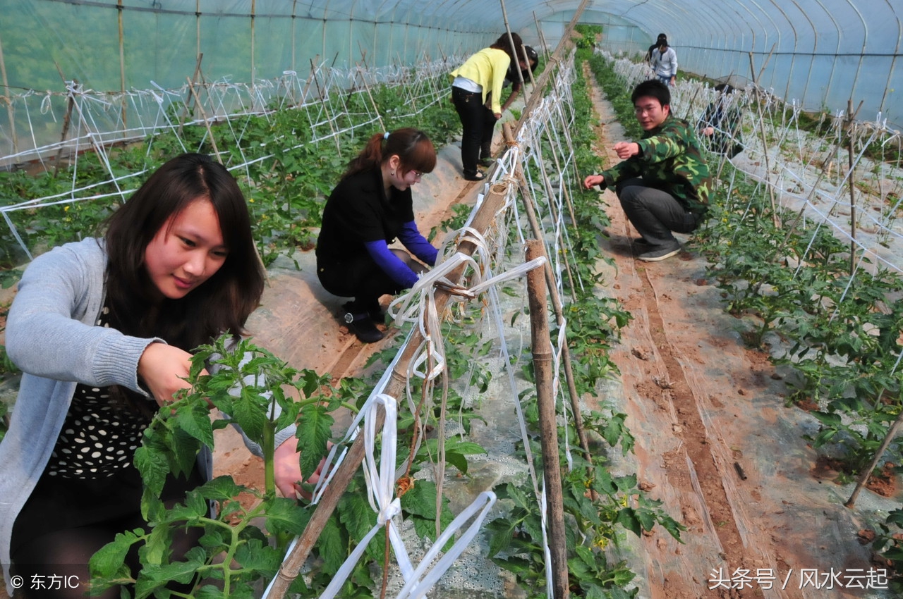 湖南湘西农村适合创业的好项目,农村有什么好的创业项目见效快
