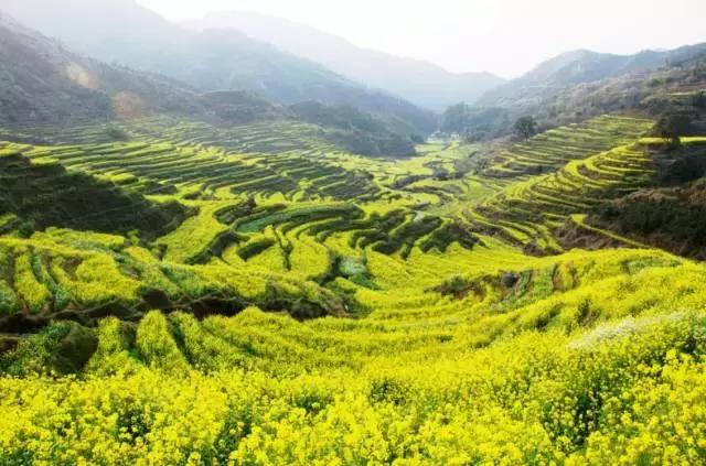 国内风景最好的旅游景点冬天,国内各地最美的十大自驾游线路