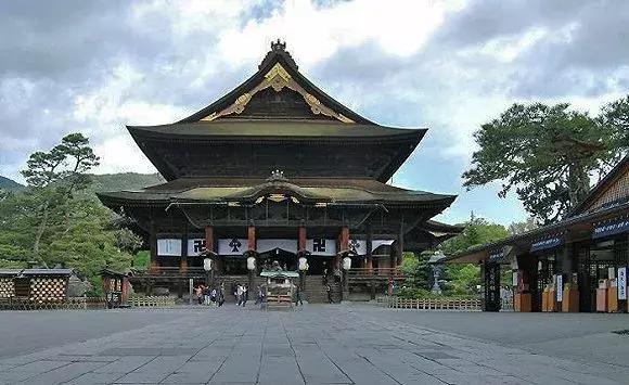 蛙不着家!空巢老母亲就将它去的地方、买的珍品统统扒了一遍!